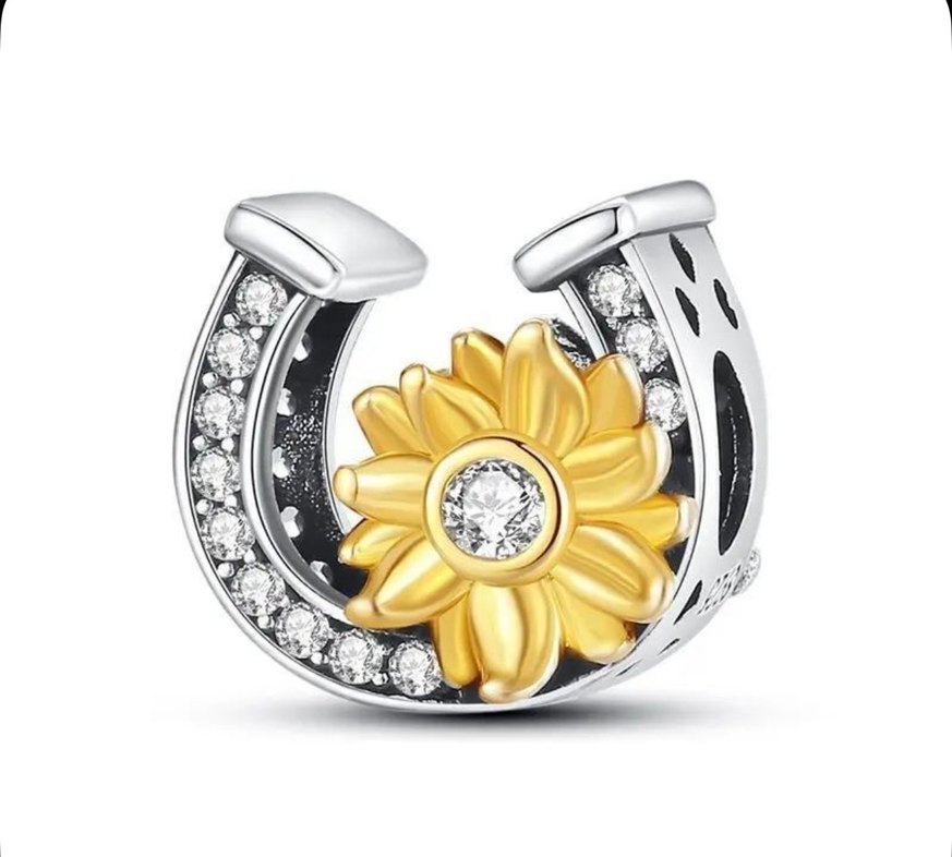 Pandora 925 ayar gümüş Charm - Görsel 3