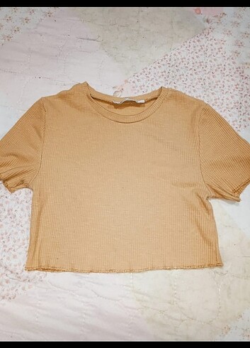 BEJ CROP