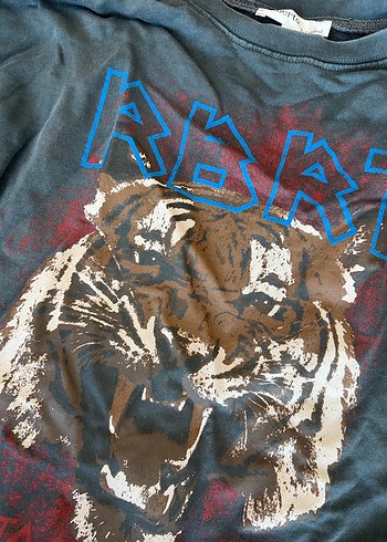 Baskılı Gri Sweatshirt - Görsel 2