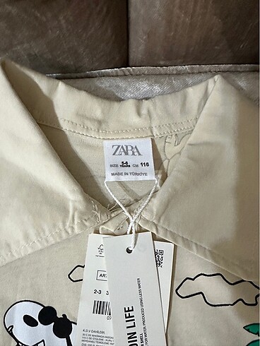 Zara erkek çocuk takım