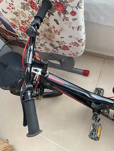  Beden Carraro