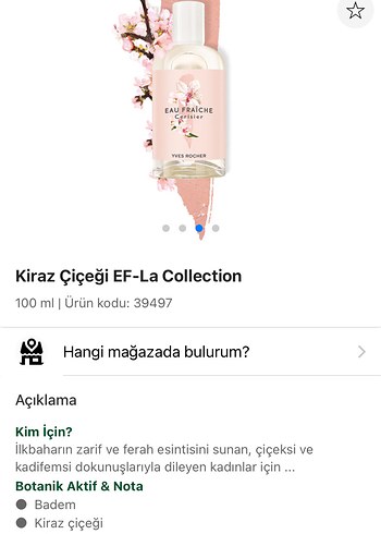 Kiraz Çiçeği Kadın Parfümü 100ml - Görsel 2