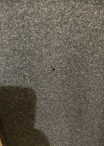 Gri Kadın Örme Pantolon - Görsel 4