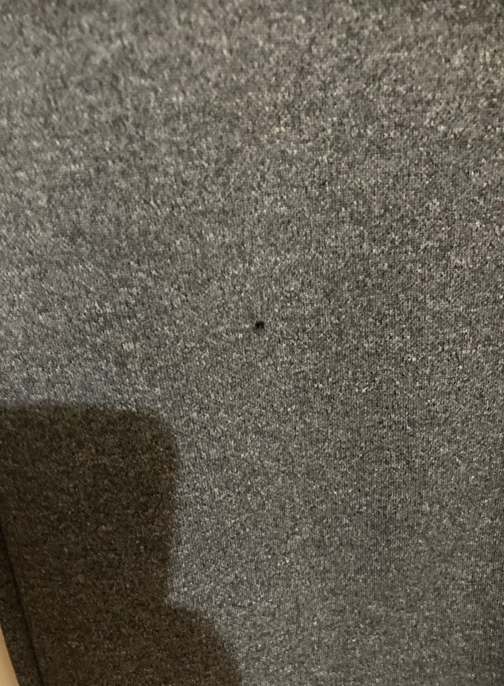 Gri Kadın Örme Pantolon - Görsel 4