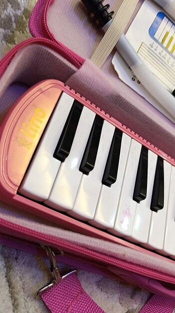 Beden Lino 32k melodika