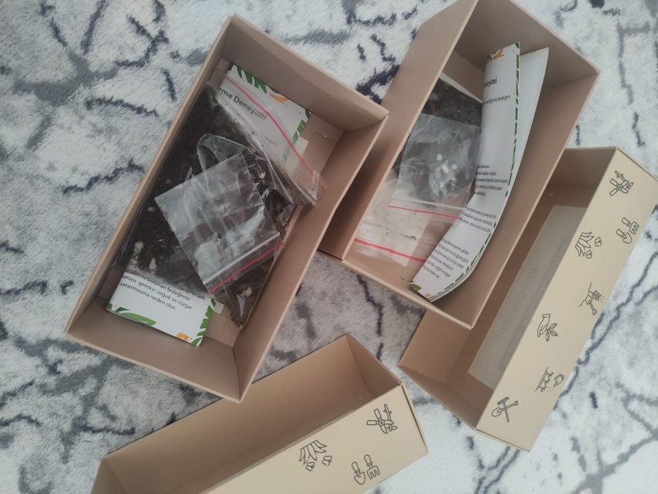 Fesleğen Yetiştirme Seti - Görsel 2