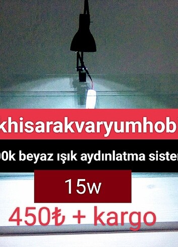 Akvaryum aydınlatma 