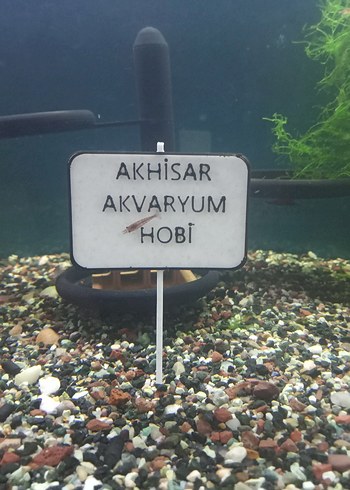 Akhisar Akvaryum Hobi Kitabı