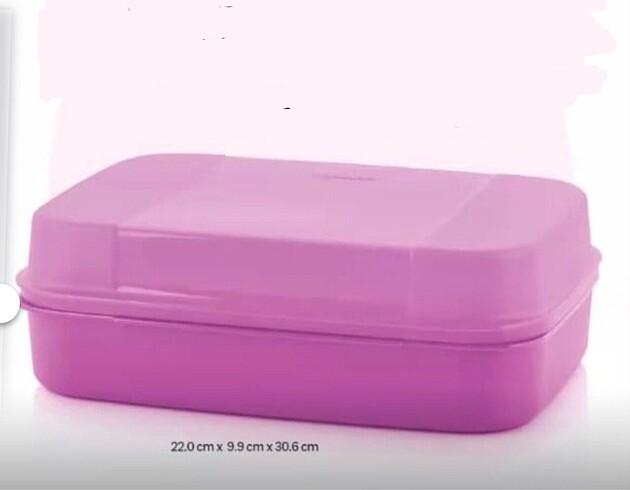 Tupperware f20 saklama kabı