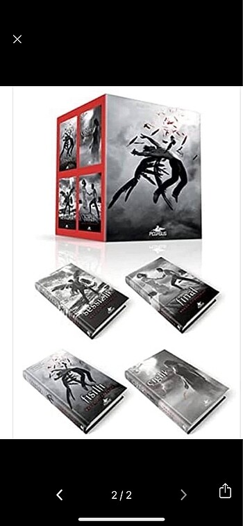 Hush Hush Kitap Serisi