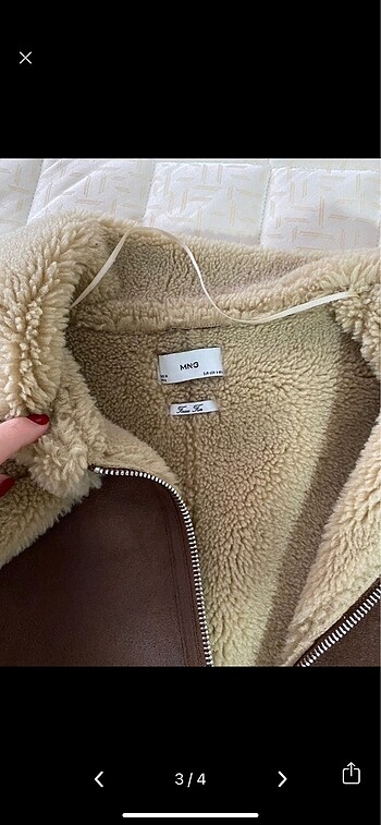 mango biker