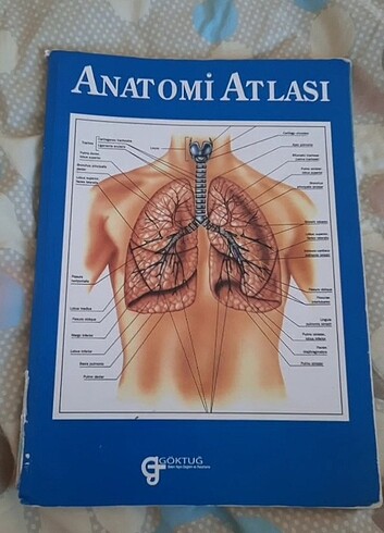 Anatomi Atlası 