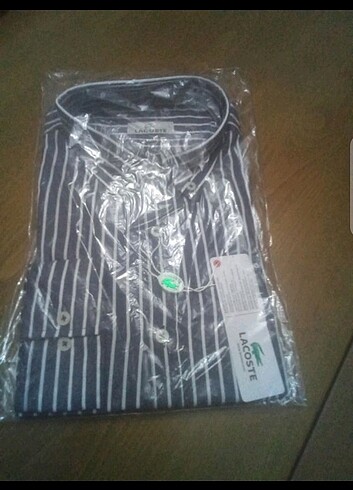 l Beden lacivert Renk Orijinal Lacoste erkek gömleği