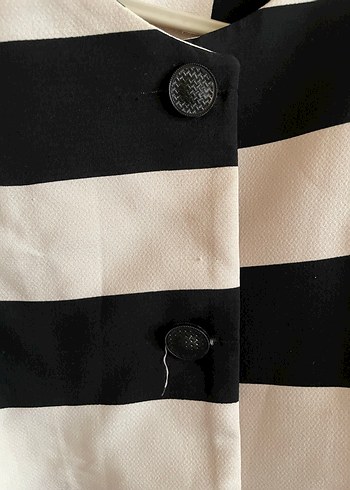 Düğmeli Siyah Beyaz Çizgili Kadın Ceket - Görsel 2