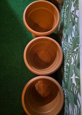 BÜYÜK SAKSI - Görsel 3