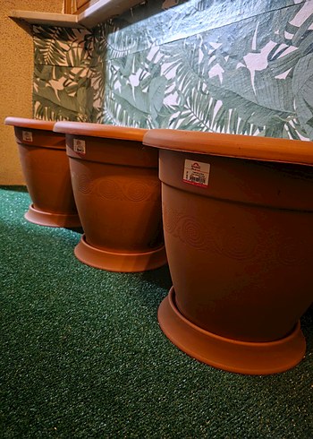 BÜYÜK SAKSI - Görsel 2