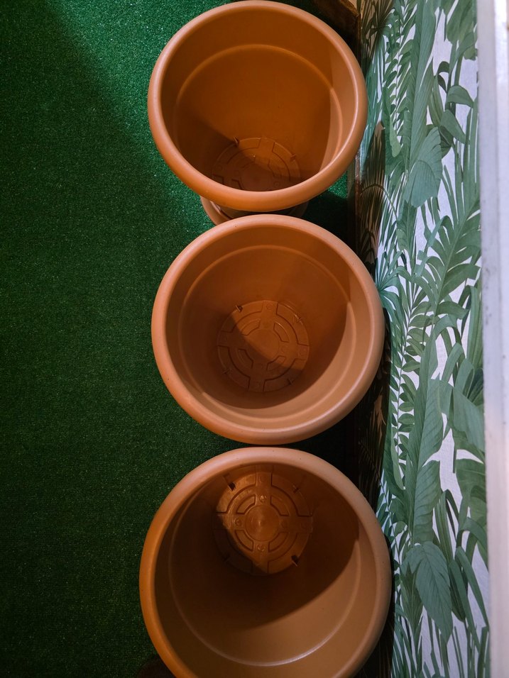 BÜYÜK SAKSI - Görsel 3