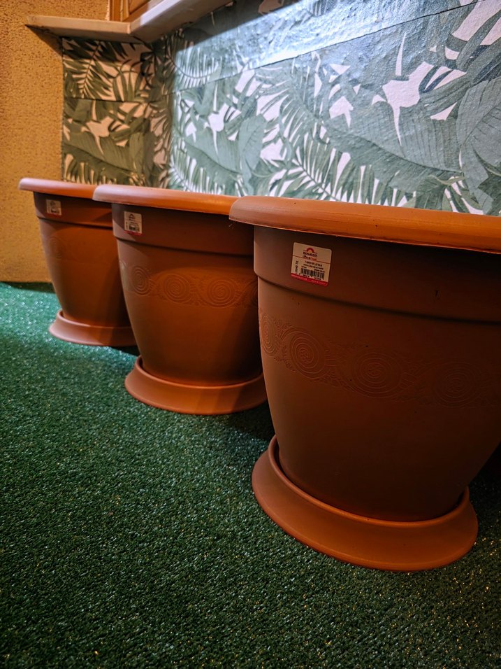 BÜYÜK SAKSI - Görsel 2