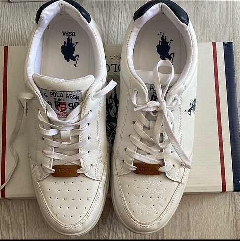 Us Polo Assn sneaker