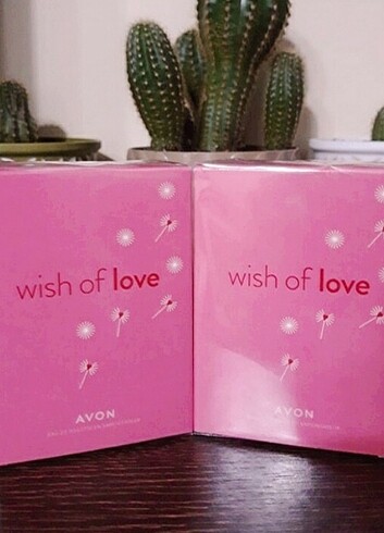 Wish of love 