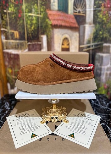 UGG TAZZ TABA