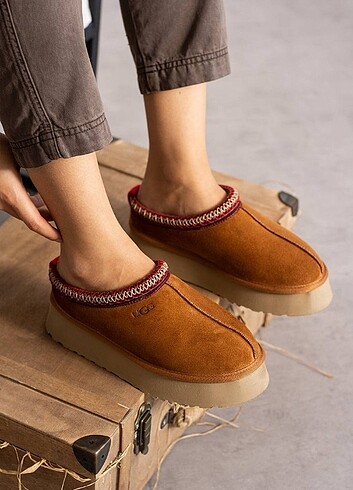 Ugg UGG TAZZ TABA