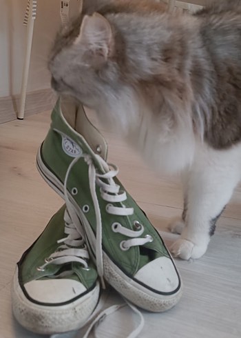 Yeşil Kadın Spor Ayakkabı - Converse - Görsel 3