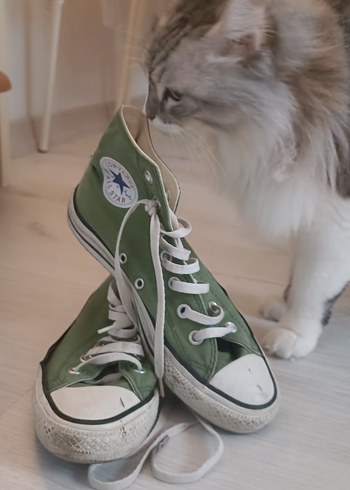 Yeşil Kadın Spor Ayakkabı - Converse - Görsel 7