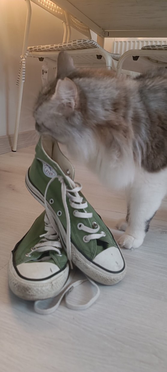 Yeşil Kadın Spor Ayakkabı - Converse - Görsel 3