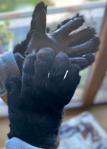 Siyah Kürklü Deri Kadın Eldiven - Görsel 7