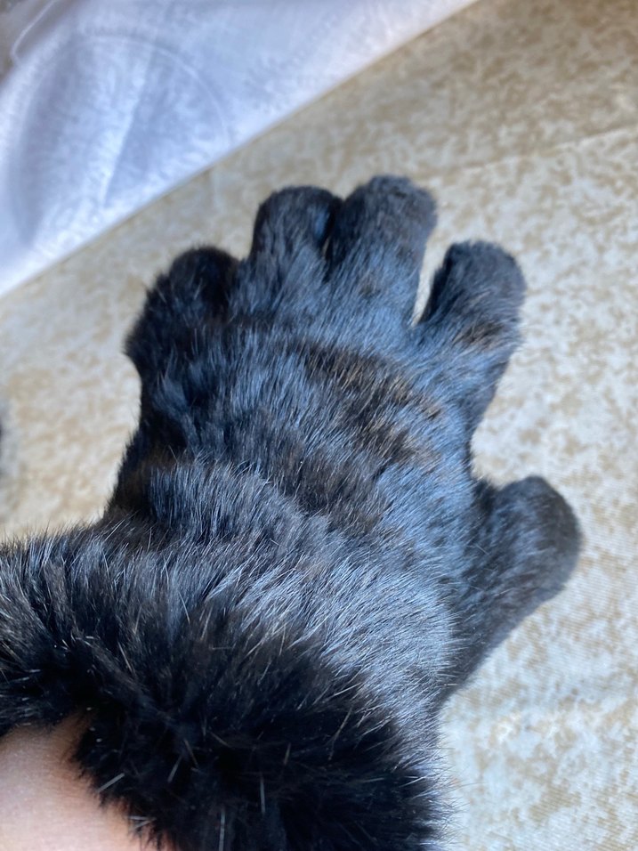 Siyah Kürklü Deri Kadın Eldiven - Görsel 4