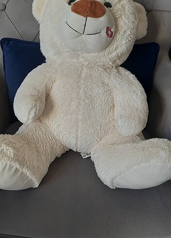  Beden Ayıcık 