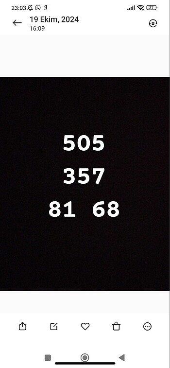 Manuka tesettür abiye - Görsel 9