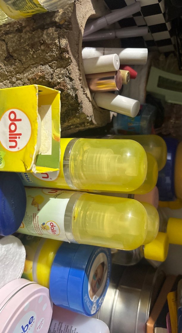 Dalin seti - Görsel 4