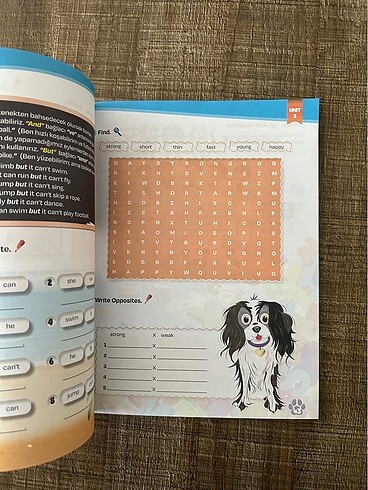 THE CHASE 3.SINIF COURSEBOOK - Görsel 6