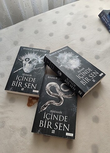 İçinde bir sen Binnur şafak 