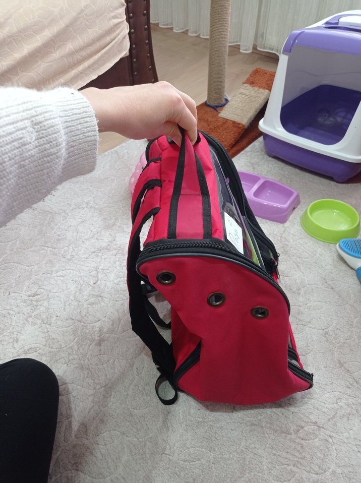 kedi eşyaları - Görsel 4