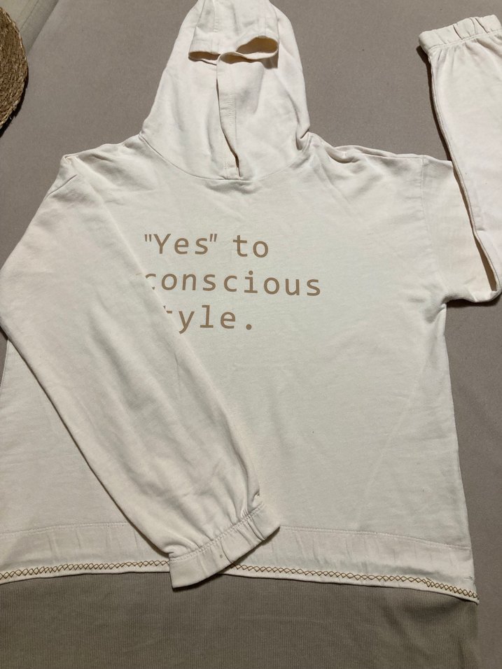 Tiriko parçalı Kapüşonlu renk bloklu Sweatshirt - Görsel 2