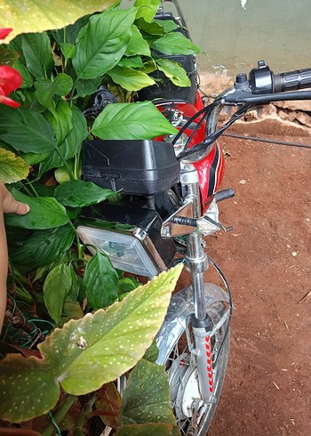 Ramzey QM 250 model motorsiklet - Görsel 4