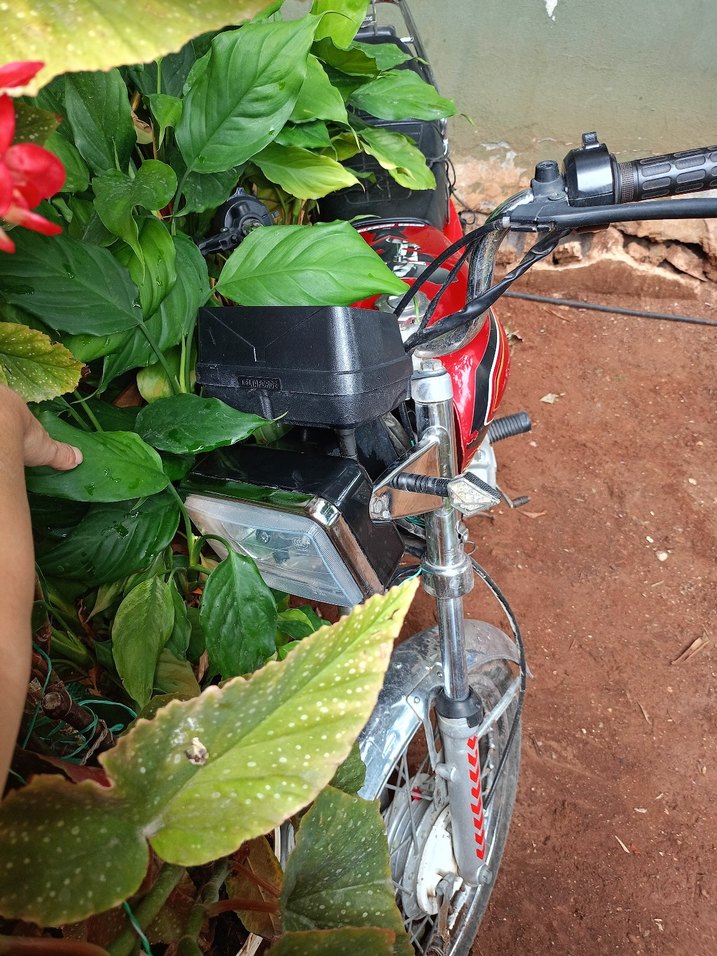 Ramzey QM 250 model motorsiklet - Görsel 4