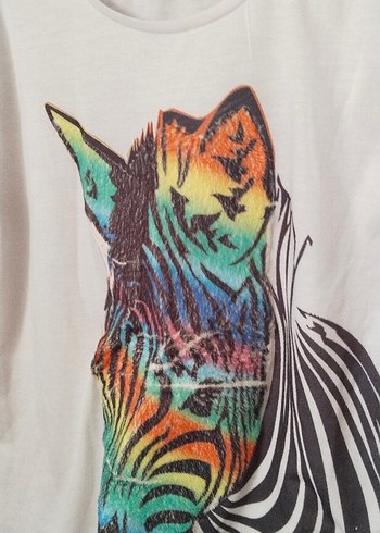 Zara zebra desenli bluz