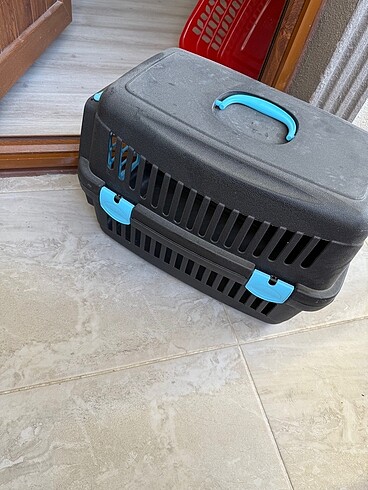 Yeni kedi tasima
