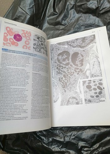 Wheater's Functional Histology Kitap - Görsel 2