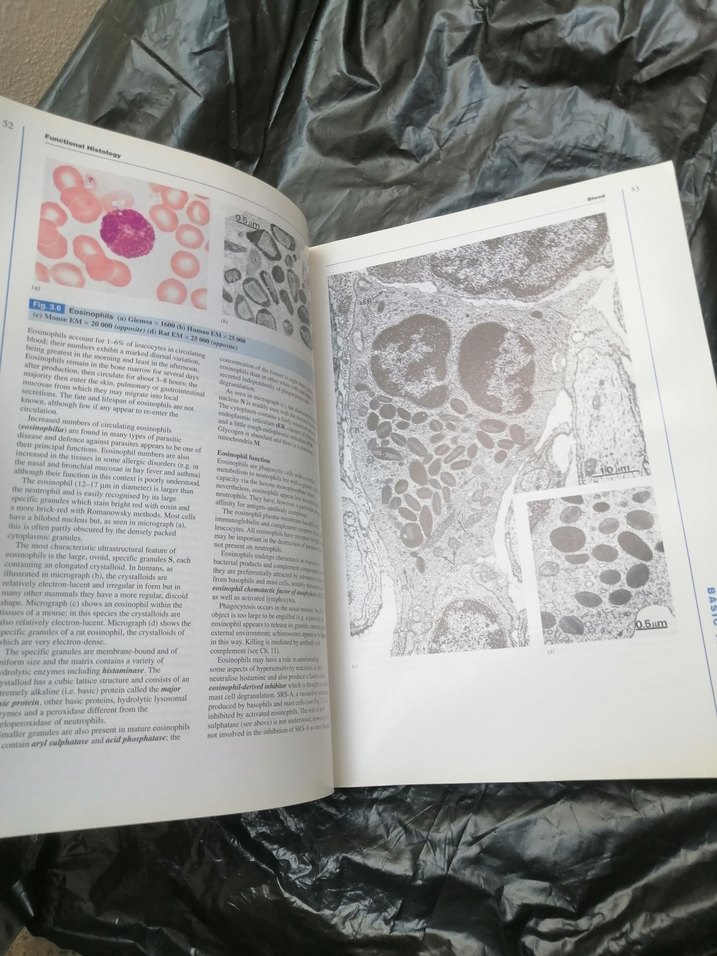 Wheater's Functional Histology Kitap - Görsel 2