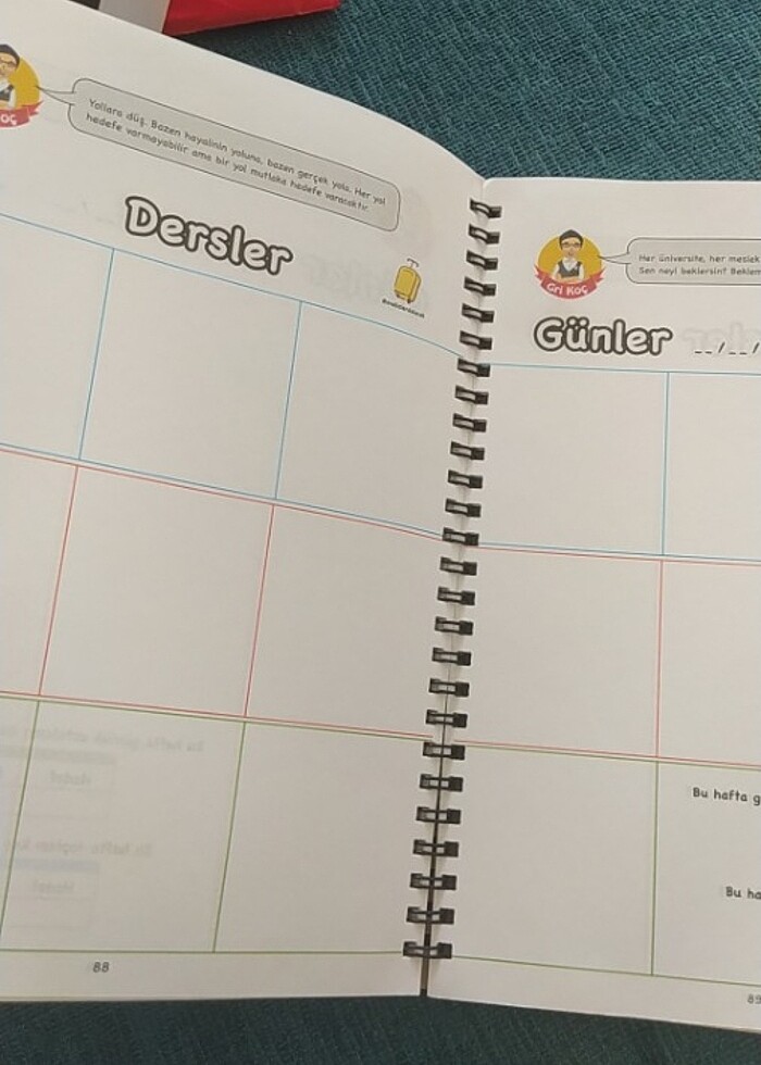 Gri koç planlama defteri - Görsel 2