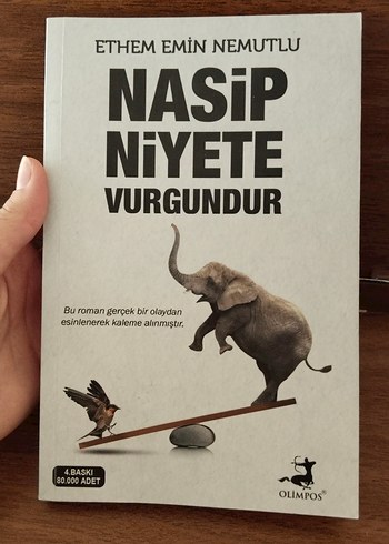 Nasip Niyete Vurgundur Roman Kitabı