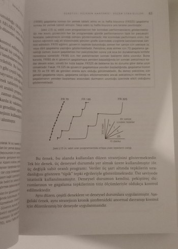 Psikolojide Deneysel Yönteme Giriş - Vaka Yaklaşımı - Görsel 4