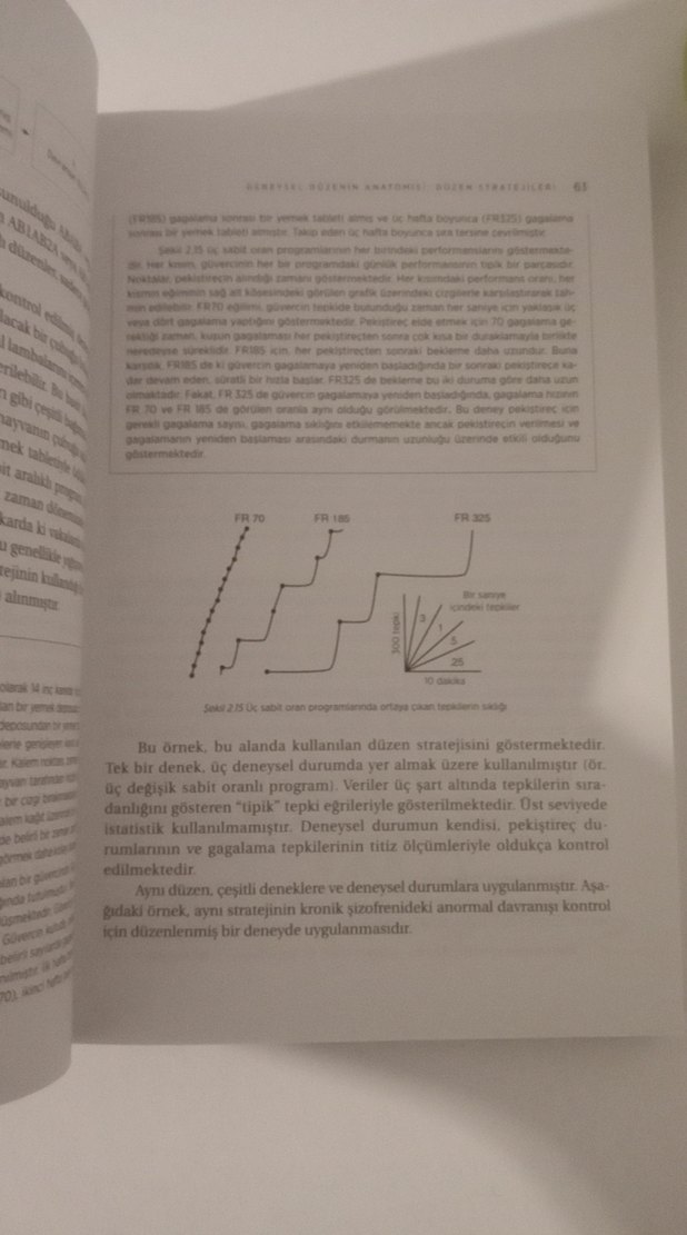 Psikolojide Deneysel Yönteme Giriş - Vaka Yaklaşımı - Görsel 4