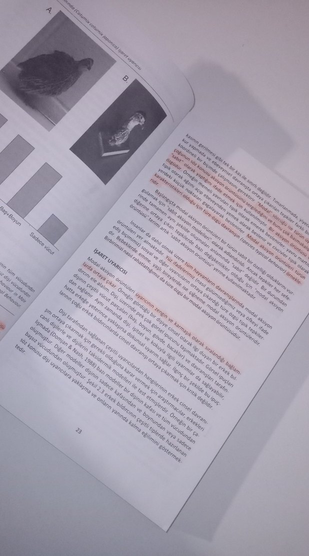 Koşullama ve Öğrenmenin Temelleri - Michael Domjan - Görsel 4