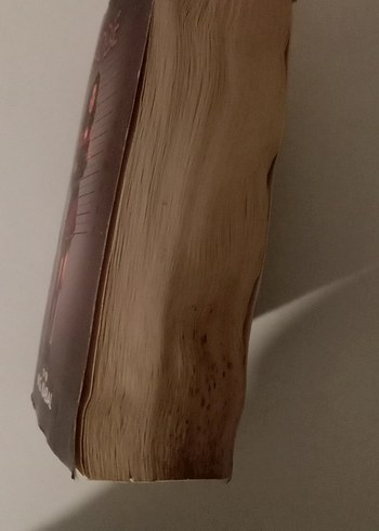 Saklambaç - Sobe N.G. Kabal (CEP BOY) - Görsel 5